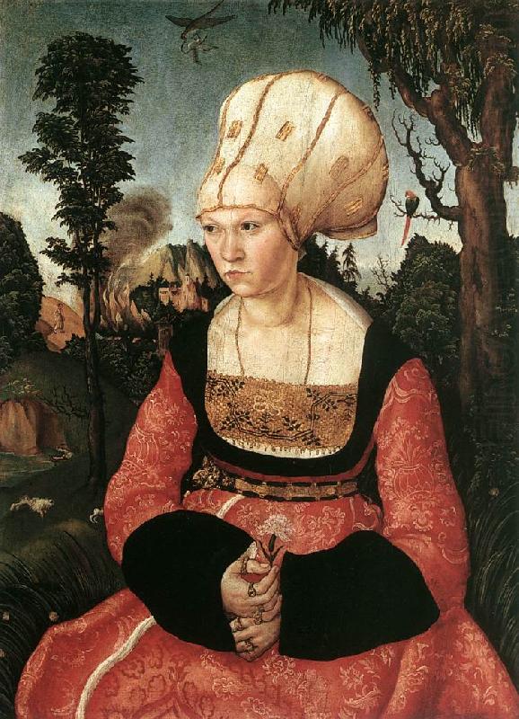 CRANACH, Lucas the Elder Portrait of Anna Cuspinian dfg china oil painting image